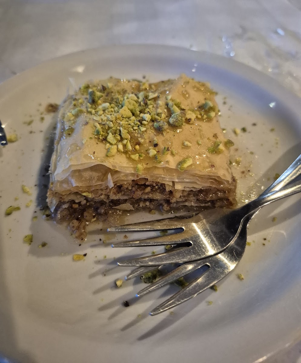 Alexander's Greek Kitchen Photos 2